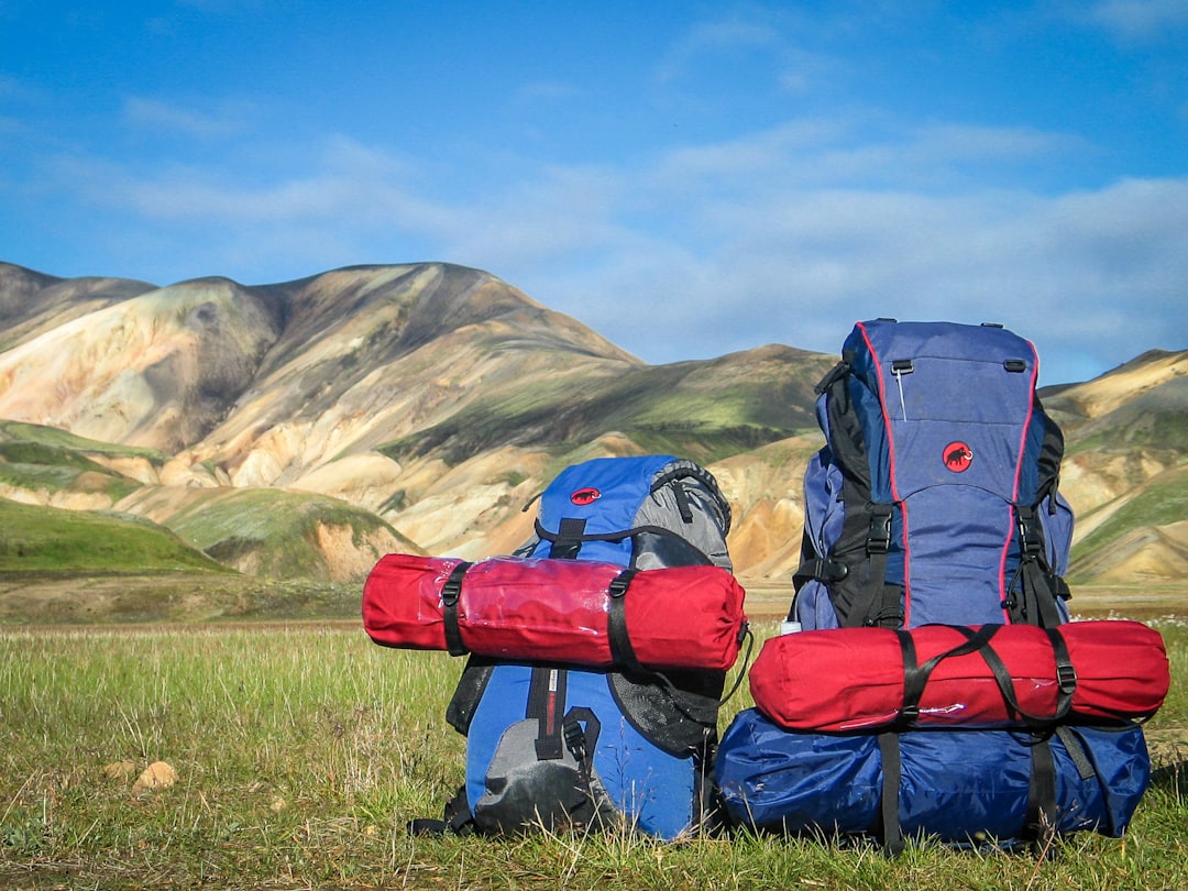 How to Choose the Right Backpack for Your Travels How to Choose the Right Backpack for Your Travels